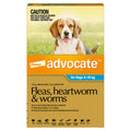 Advocate Fleas, Heartworm & Worms for Dogs 4kg–10kg (1 x 1.0ml Tube)